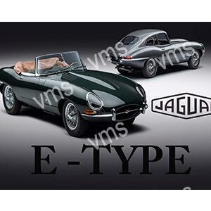 Classic Jaguar E-Type and coupe showcased in vintage style.