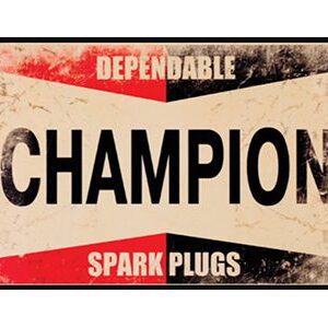 PLG006 - Champion Plugs - 12"x18"