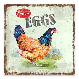 AN001 - Fresh Eggs - 12x12