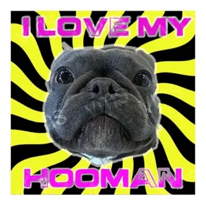 A dog's face with psychedelic background and text 'I LOVE MY HOOMAN'.