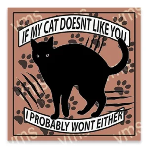 Black cat with humorous text about cats' indifference.