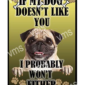 A pug dog with a humorous warning about fitting in.
