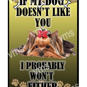 Cute dog with a message about loyalty and friendship.