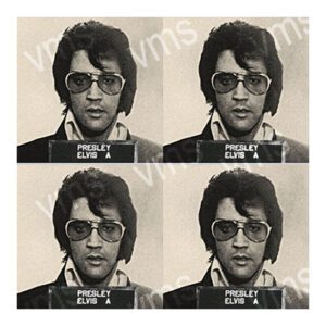 CLB006 - Elvis Mug Shot - 24"x24"