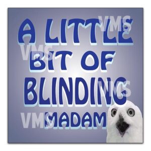 A parrot with the text 'A little bit of blinding' in bold letters.
