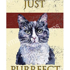 Artistic portrait of a cat with the text 'Just Purrfect'.