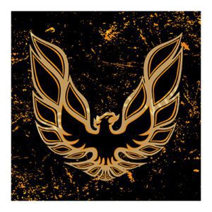 FB001 - FireBird - 12"x12"