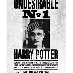 Harry Potter on an 'Undesirable No. 1' wanted poster.
