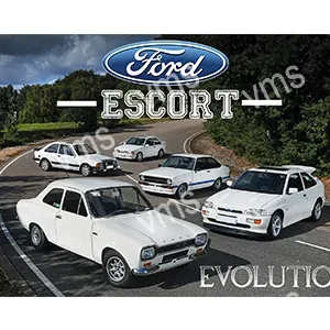 White Ford Escort cars from different generations displayed outdoors.
