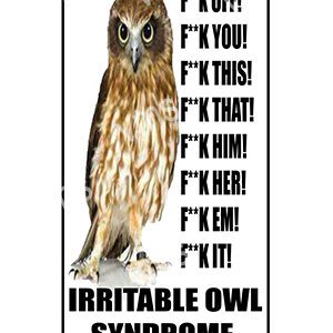 HHU029 - Irritable Owl Syndrome - 8"x14"