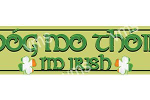 A green banner with the phrase "Kiss Me I'm Irish" and white shamrocks.