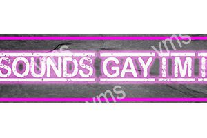 Neon sign saying 'SOUNDS GAY!' in pink and white.