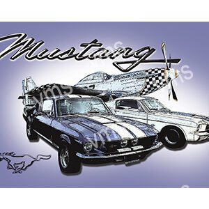 MSA018- Stang White And Blue - 24"x16"