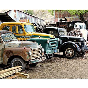 A lineup of old, colorful vintage trucks parked outdoors.