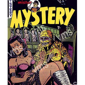 PIN0303 MYSTERY 12"X18"