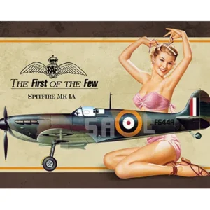 Vintage pin-up girl posing with a World War II fighter plane illustration.
