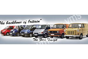 RMS049 - Evolution - 18"x4.5"