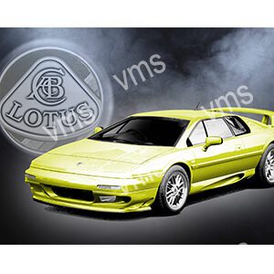 RMS078 - Espiri - 12"x8"