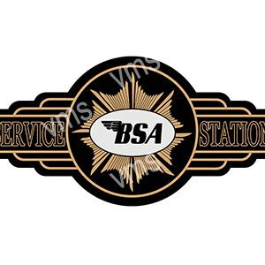 BSA logo with a vintage compass design in black and gold.