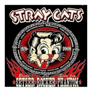 Retro Stray Cats band logo with a cartoon cat and flames.