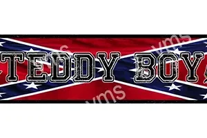 A red flag with a Confederate battle emblem and 'TEDDY BO' text.