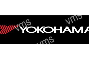 TYR001 -Yoko - 4.5"x18"