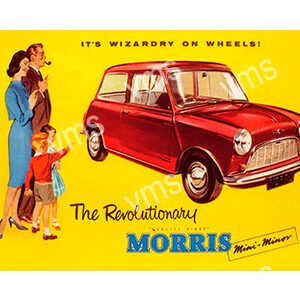 VMS011 - Wizardry On Wheels - 18"x12"