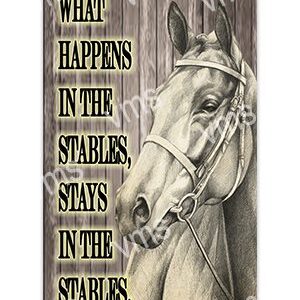 AN013-What-Happens-In-The-Stables-2-8x14-1