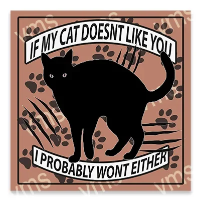 Black cat with humorous text about cats' indifference.