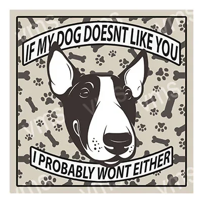 Black and white dog with humorous text about dog approval.