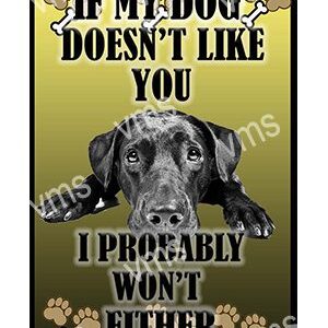 Black dog with text about not liking if dog doesn't like you.