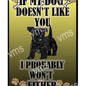 Black dog with a warning message about not fitting in.