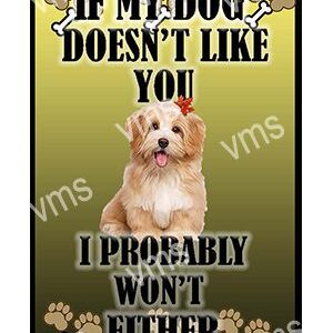 Cute dog with humorous message about liking people.