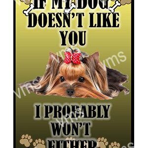 Cute dog with a message about loyalty and friendship.