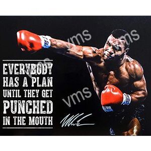 A muscular boxer throwing a punch with a motivational quote about plans and punches.