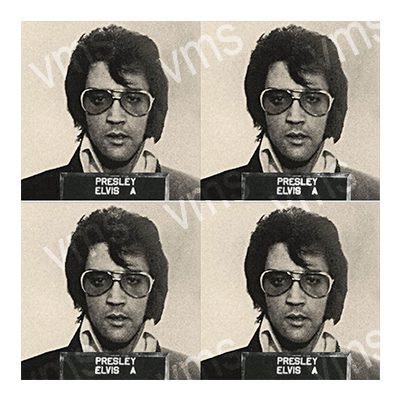 Black and white portrait collage of a man with sunglasses and a patterned shirt.