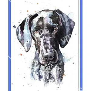 DAZ015-WEB-BLACK-DOG-12X18-jpg