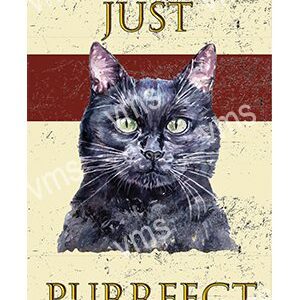 DAZ030-WEBBLACK-CAT-8X12-1