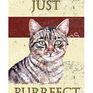 DAZ032-WEB-STRIPEY-CAT-8X12-1