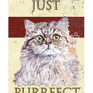 DAZ033-WEB-PERSIAN-CAT-8X12-1