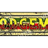 FAIR017-WEB-DODGEMS-18X4.5