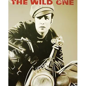 Vintage-style poster of a man on a motorcycle titled 'The Wild One'.