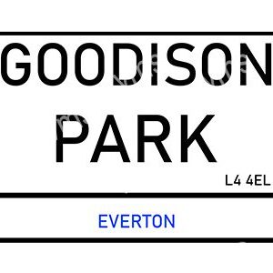 FOOT910-WEB-GOODISON-PARK-12X8