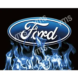 FORD0100C-WEB-FORD-OVAL-IN-FLAMES-18X12-jpg