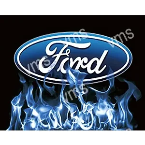 Ford logo with blue flames beneath it.
