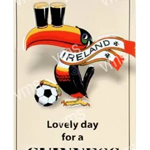 Cartoon toucan with an Ireland scarf and soccer ball.