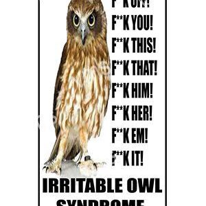 HHU029-Irritable-Owl-Syndrome-8x14-1