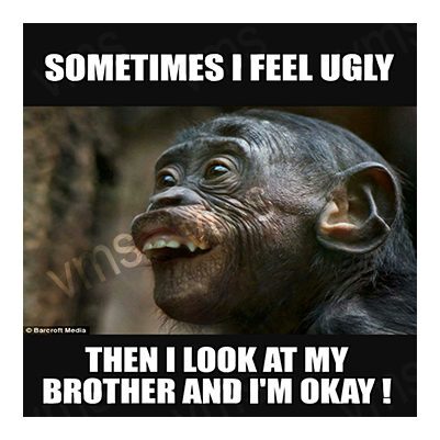 Funny meme with a chimpanzee and a humorous caption about brothers.