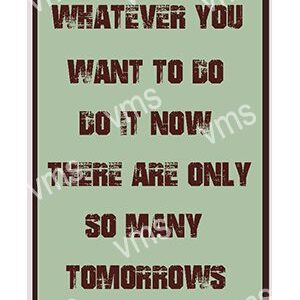Inspirational quote encouraging action now, not later.