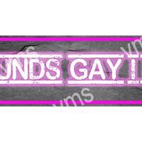 Neon sign saying 'SOUNDS GAY!' in pink and white.